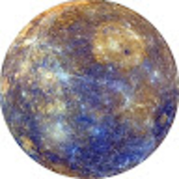 Meet your Posher, Carol - Picture 1 of 1